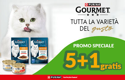 Scopri i prodotti!